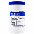 Rpi Sodium Phosphate Dibasic, Anhydrous, ACS, 500 G S23145-500.0